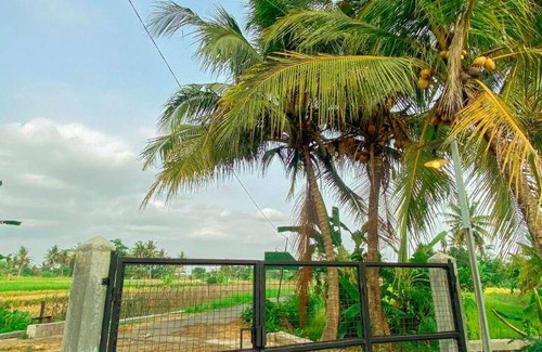 Ngemplak House | 120 m² House ∙ 2 bedrooms ∙ 4 guests