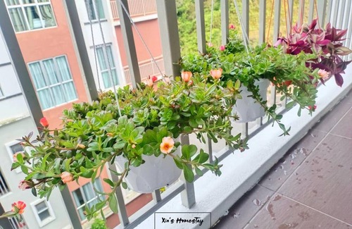 Brinchang Apartment | 1289 m² Apartment ∙ 4 bedrooms ∙ 13 guests