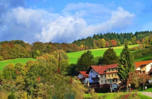 Gammelsbach Apartment | 130 m² Apartment ∙ 3 bedrooms ∙ 7 guests