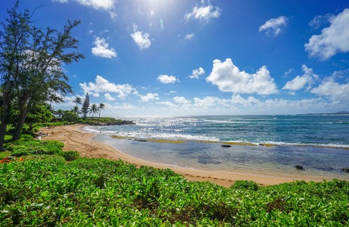 Wailua Condo | 132 m² Condo ∙ 2 bedrooms ∙ 4 guests