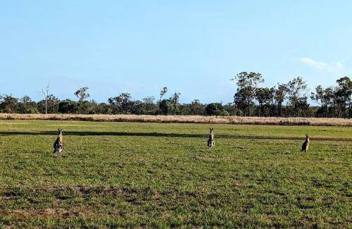 Burrum River House | 14 m² House ∙ 1 bedroom ∙ 2 guests