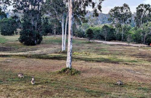 Burrum River House | 14 m² House ∙ 1 bedroom ∙ 2 guests