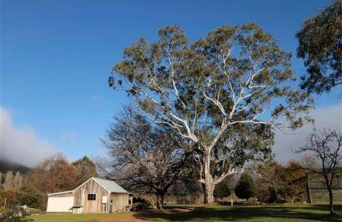 Jamieson Cabin | 14 m² Lodge ∙ 2 bedrooms ∙ 10 guests