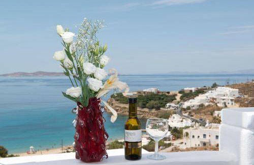 Agios Stefanos Bed & Breakfast | 1400 m² Bed and breakfast ∙ 4 guests