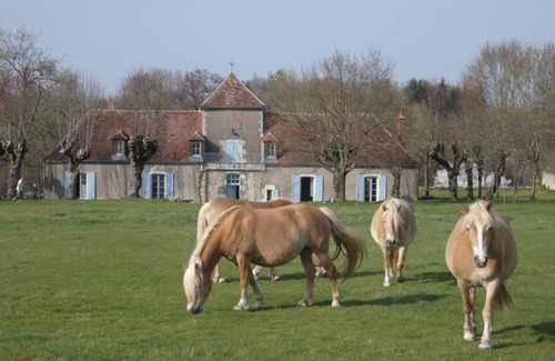 Narcy Bed & Breakfast | 15 m² Bed and breakfast ∙ 1 bedroom ∙ 2 guests