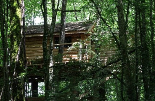 Nesle-et-Massoult Cottage | 15 m² Cabin ∙ 1 bedroom ∙ 2 guests