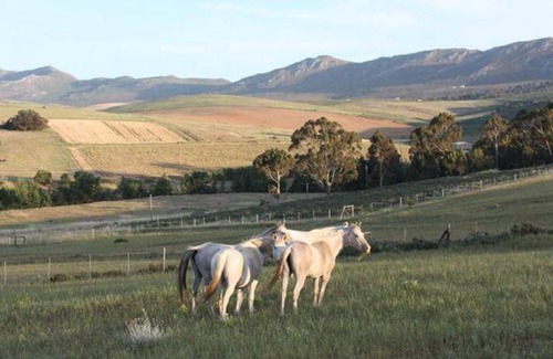 Caledon House | 15 m² Farmhouse ∙ 5 guests