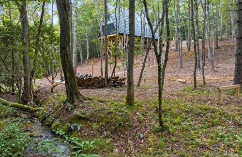 Morganton House | 15 min to Town Creekside Hot Tub Fire Pit