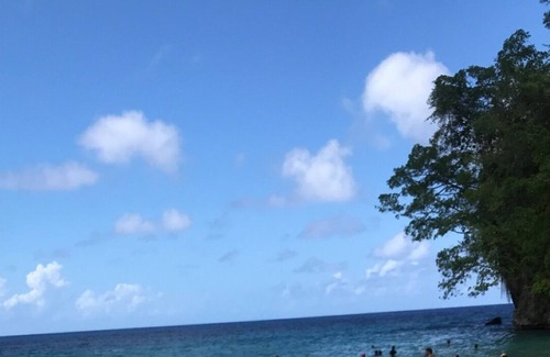 Hellshire Bed & Breakfast | 15 minutes away from the famous Hellshire Beach .