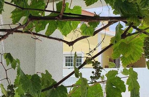 Sao Miguel do Rio Torto Villa | 15 m² Villa ∙ 3 bedrooms ∙ 6 guests
