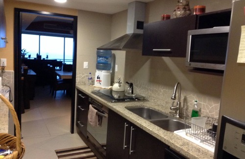 Ixtapa Condo | 15th Floor Condo overlooking pacific ocean