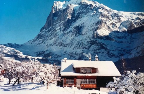 Grindelwald Apartment | 16 m² Apartment ∙ 1 guest