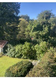 Odense Bed & Breakfast | 16 m² Bed and breakfast ∙ 1 bedroom ∙ 2 guests
