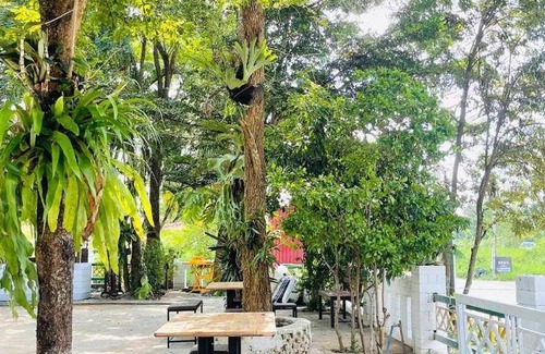 Tha Wang Thong Hotel | 16 m² Hotel ∙ 2 guests