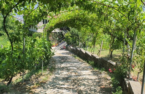 Albania House | 16 m² House ∙ 1 bedroom ∙ 3 guests