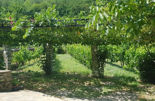 Albania House | 16 m² House ∙ 1 bedroom ∙ 3 guests