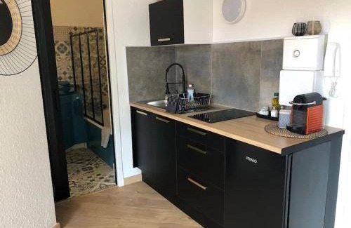 Romans-sur-Isere Apartment | 18 m² Apartment ∙ 1 bedroom ∙ 2 guests