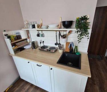 Jaszowiec Apartment | 18 m² Apartment ∙ 1 bedroom ∙ 2 guests