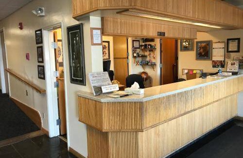 Kodiak Hotel | 18 m² Hotel ∙ 4 guests