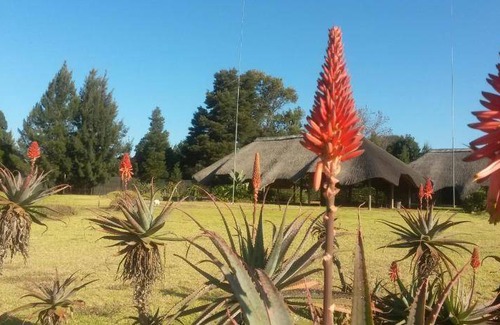 Mkhondo Cabin | 18 m² Lodge ∙ 2 guests