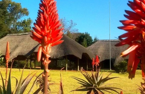 Mkhondo Cabin | 18 m² Lodge ∙ 2 guests