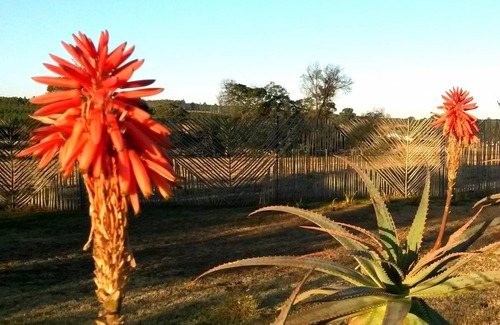 Mkhondo Cabin | 18 m² Lodge ∙ 2 guests