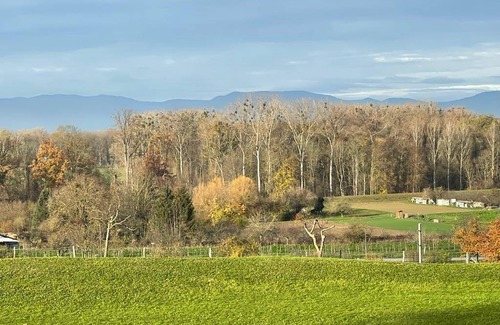 Sasbach am Kaiserstuhl Apartment | 180 m² Apartment ∙ 5 bedrooms ∙ 16 guests