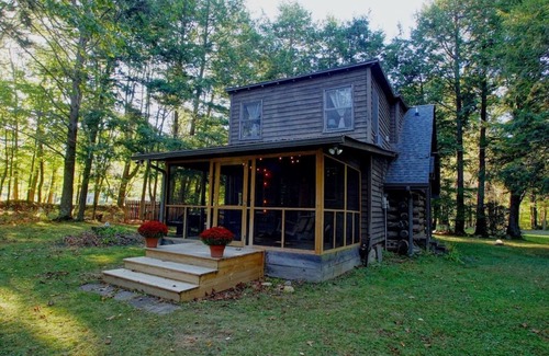 Banner Elk Cabin | 1848 Log Cabin in the Trees w/Fire Pit/Foscoe/No Damage from Helene!