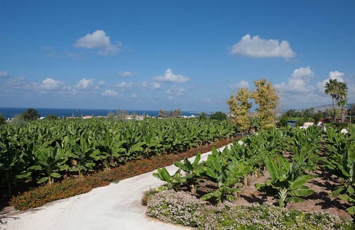 Kissonerga Villa | 185 m² Villa ∙ 4 bedrooms ∙ 10 guests