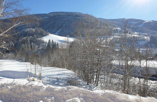 Stadl-Predlitz Hotel | 19 m² Hotel ∙ 1 bedroom ∙ 2 guests