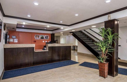 Orange Prairie Hotel | 19 m² Hotel ∙ 127 guests