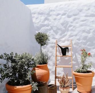 South Rhodes Apartment | 1919's Studio