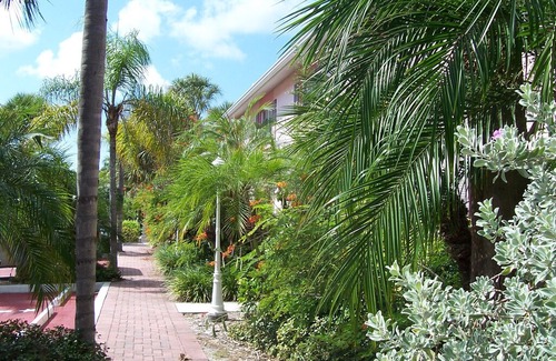 Siesta Key Condo | 1Br/1B Pineapple Palm #2D (2nd Floor): Siesta Key Inn