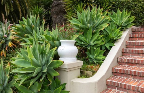 Piedmont Apartment | 1BR, 1BA spacious, fully furnished unit in best area with laundry, Wi-Fi, TV.