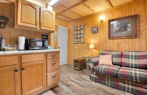 Gatlinburg - Pigeon Forge Other | 1BR Cabin in the Smokies Close to Gatlinburg