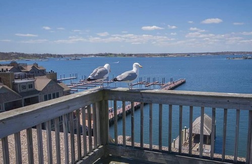 Yachting Village Condo | 1br+ Condo Vacation w/Harbor & City Fun!