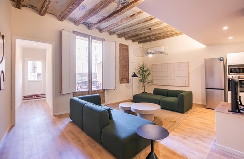 Gothic Quarter Apartment | 1ESC1056 - Fantastic apartment In Gotico