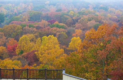 Shelton Apartment | 1ST FLR APT Your Private Resort, now FAMILY-ized: 1 BR + LR suitable for 2 kids