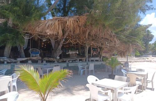 Guayacanes Bed & Breakfast | 1Vida Bar Restaurante