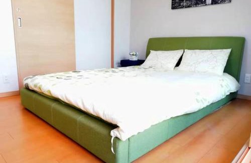 Ikebukuro Apartment | 2池袋最中心 两室一厅 池袋站10分 2 rooms Ikebukuro center 10 mins to ST Max 7P 直达新宿 涉谷 表参道 池袋 上野 代代木 银座 原宿