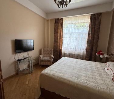 Petrovskoye Apartment | 2-х квартира поруч з Сумською, госпіталь, парк Центральний