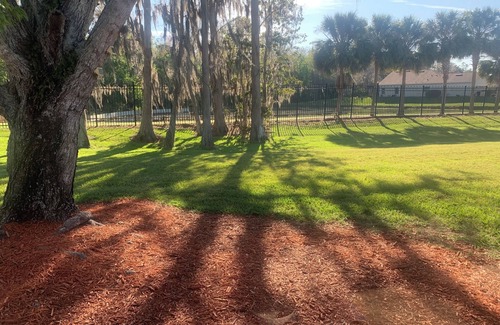 Solivita Condo | 2/2 condo in Kissimmee, next to 3rd tee of golf course, pool, pet friendly.
