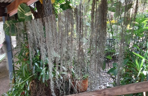 Redlynch Apartment | 2 B'rm Cool Retreat 90m above Sea Level, & views, in Quiet Area close to Cairns