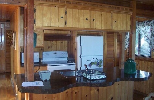Indian Point House | 2 BD/2BA LOG HOME 1 1/2 MI To SDC 500 YDS TO TABLE ROCK LAKE 15 MIN TO BRANSON