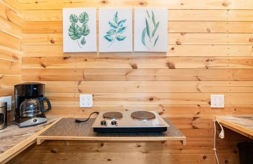 North Admiral Cabin | 2-Bed West Seattle Tiny Home w/views of Downtown