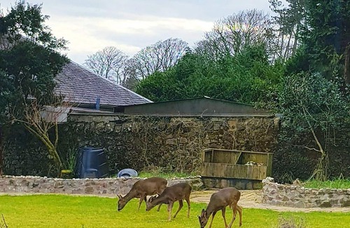 Rothesay Cottage | 2 bedroom accommodation in Ascog, near Rothesay