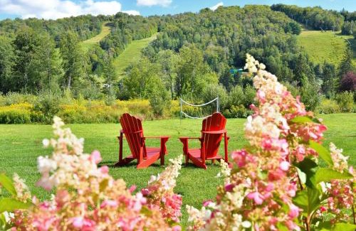 Saint-Sauveur Apartment | 2 bedroom suite with access to Sommet Saint-Sauveur