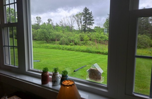 Mount Upton House | 2-bedroom Cozy Country Cottage with Meadow views,nPeaceful area will inspire!