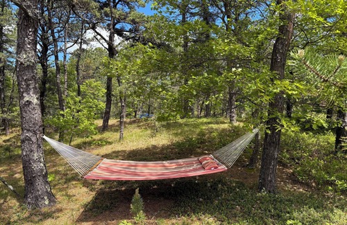 Wellfleet House | 2 BR Wellfleet family beach house in the woods