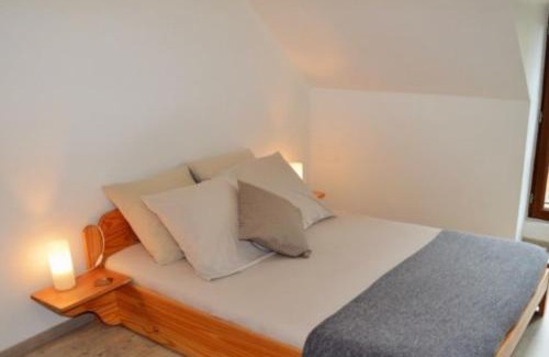 Villeloin-Coulange House | 2 gîtes mitoyens avec piscine 8-12 pers